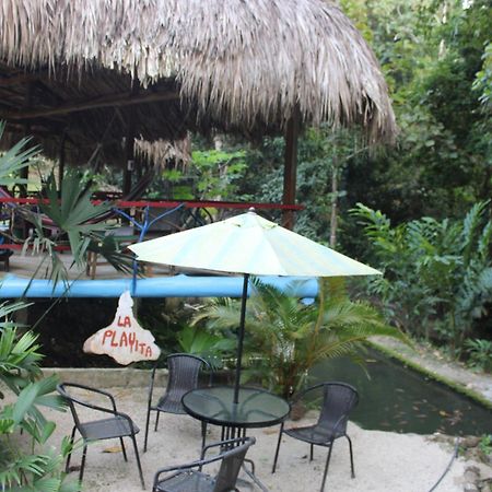 로스나란조스 Entre Bosques Tayrona 빌라 외부 사진