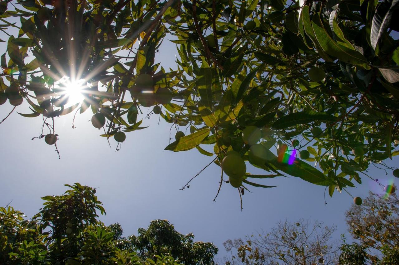 로스나란조스 Entre Bosques Tayrona 빌라 외부 사진