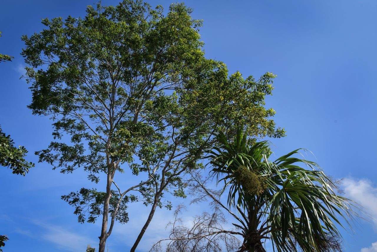 로스나란조스 Entre Bosques Tayrona 빌라 외부 사진
