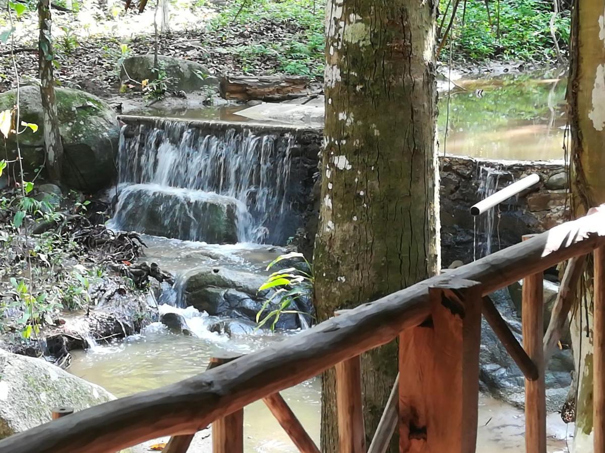 로스나란조스 Entre Bosques Tayrona 빌라 외부 사진